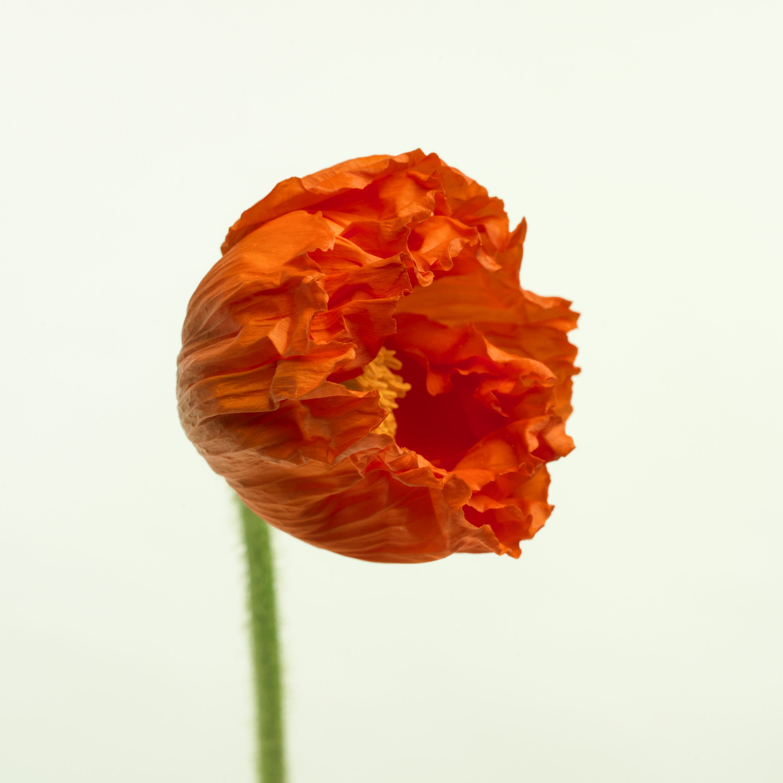 A 0818