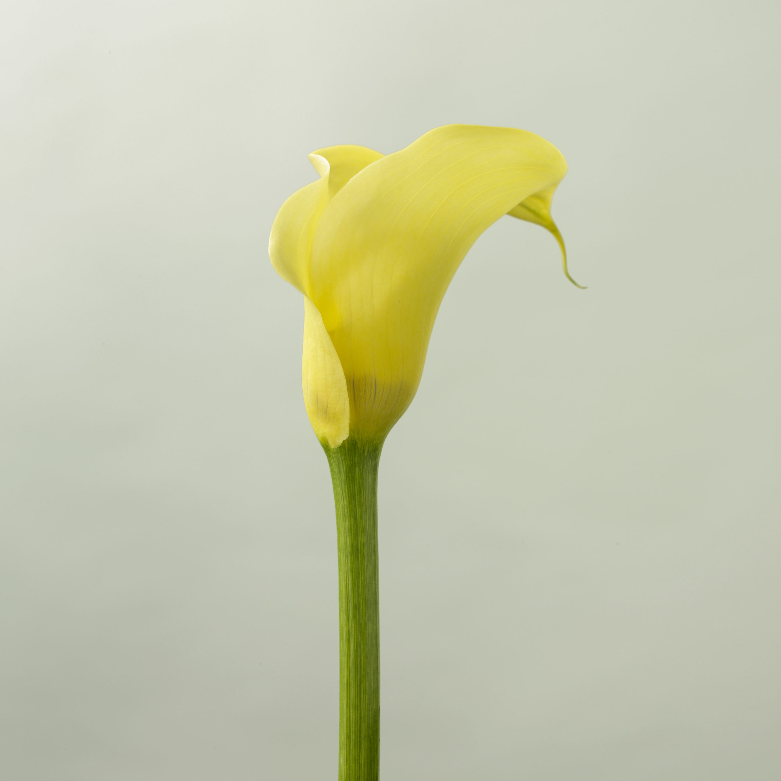 A 0904